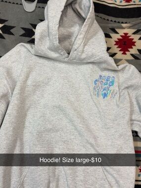 Light Gray Hoodie with Iridescent Graphic